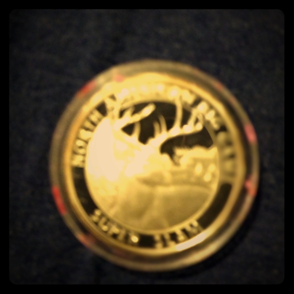 1 troy oz of silver coin